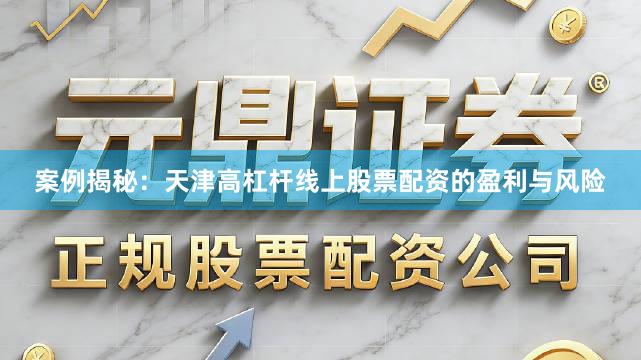 案例揭秘：天津高杠杆线上股票配资的盈利与风险